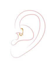 CRYSTALIZED SHINE Titan Piercing Gold - icrush - schmuck