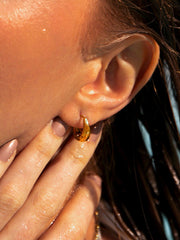 Graceful Dome Small Ohrringe Gold - icrush - schmuck