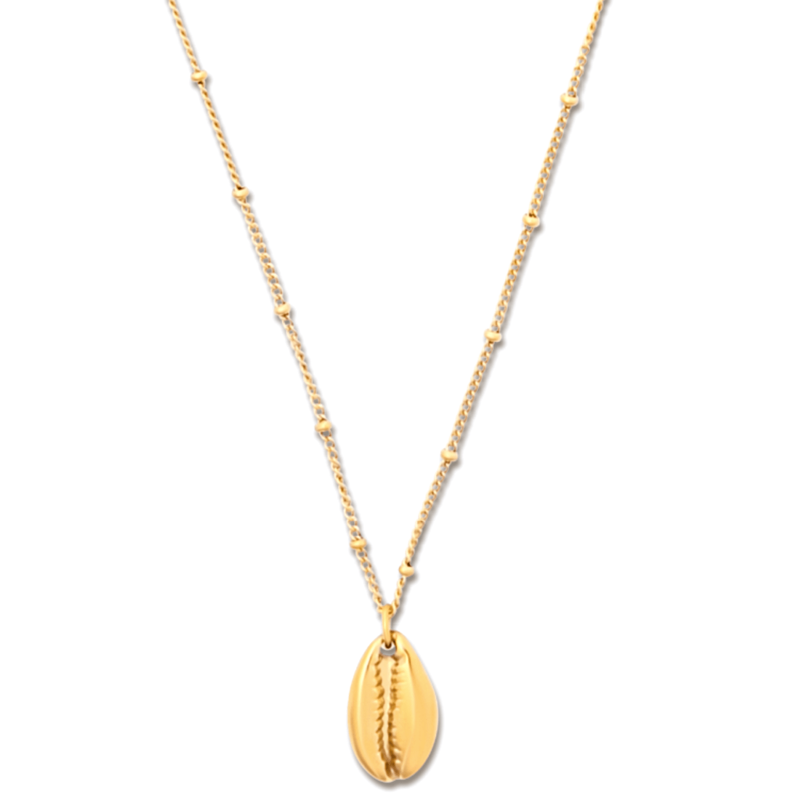 Jaide Shell Pendant Kette - icrush - schmuck