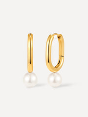 Absolute Appeal Pearl Ohrringe Gold-Shopicrush
