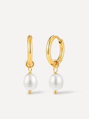 Modern Pearl Small Ohrringe Gold-Shopicrush