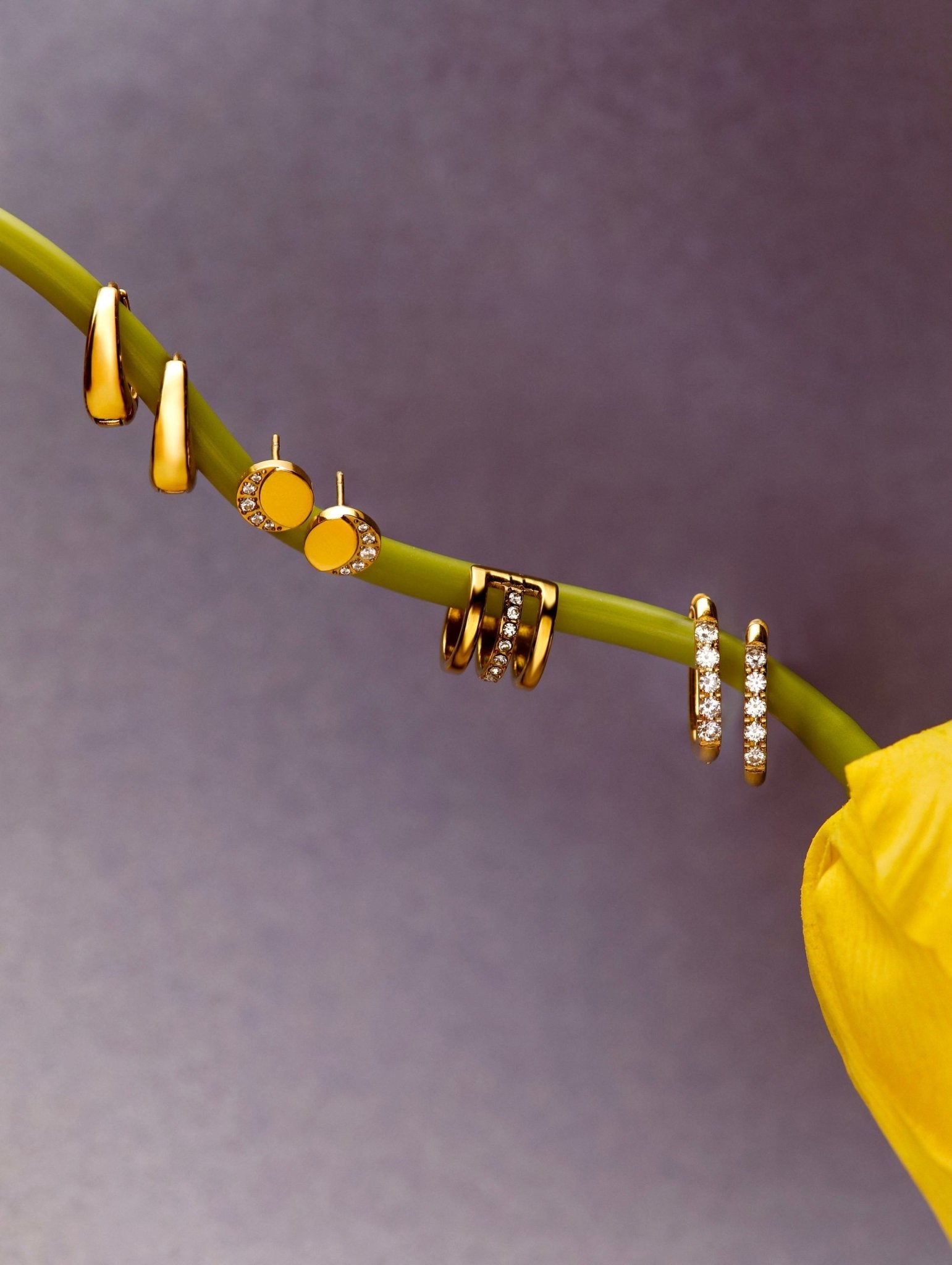 Graceful Dome Ohrringe Gold - icrush - schmuck